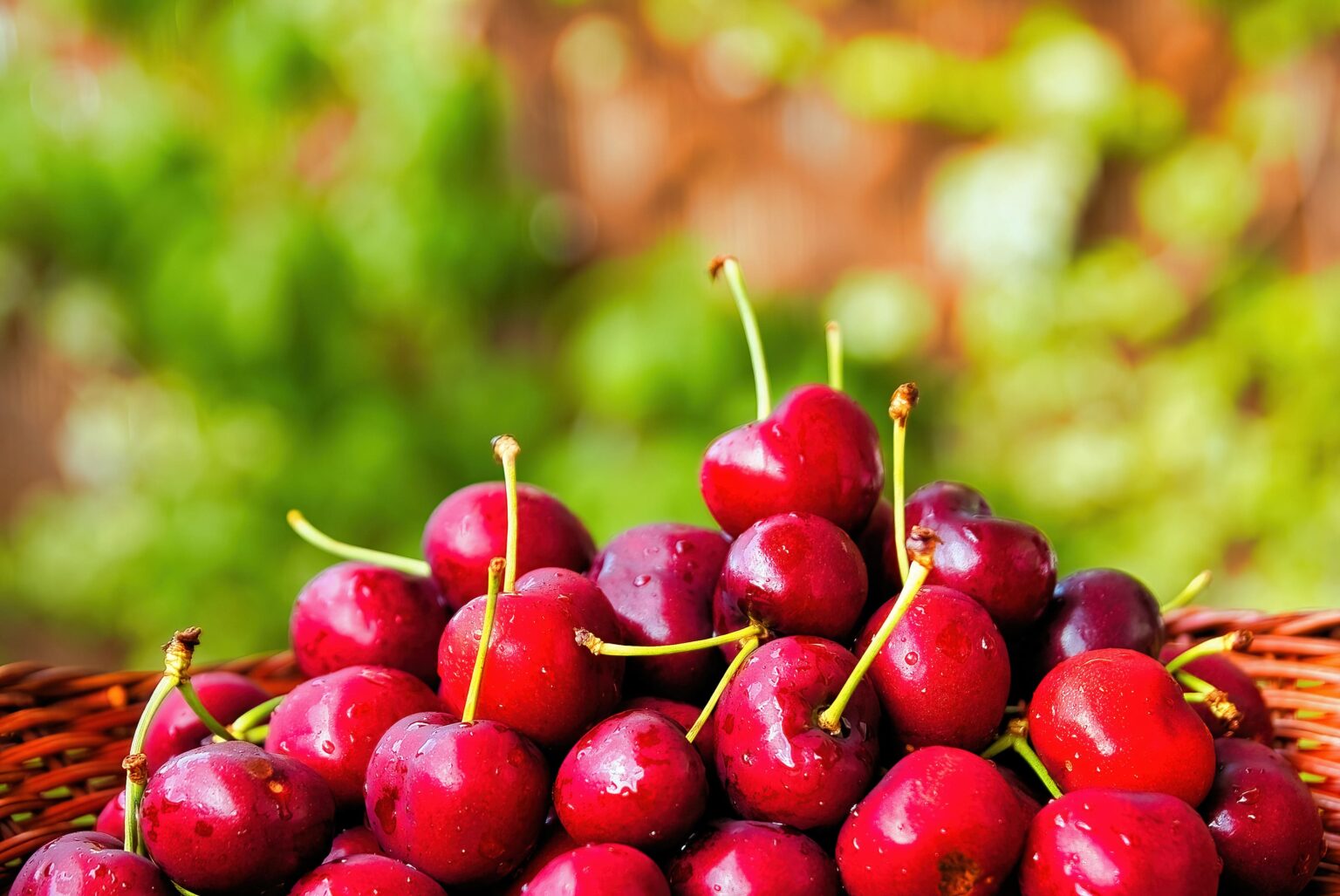 Cerezas: Origen, Valor Nutricional Y Beneficios. - GuillenMerca